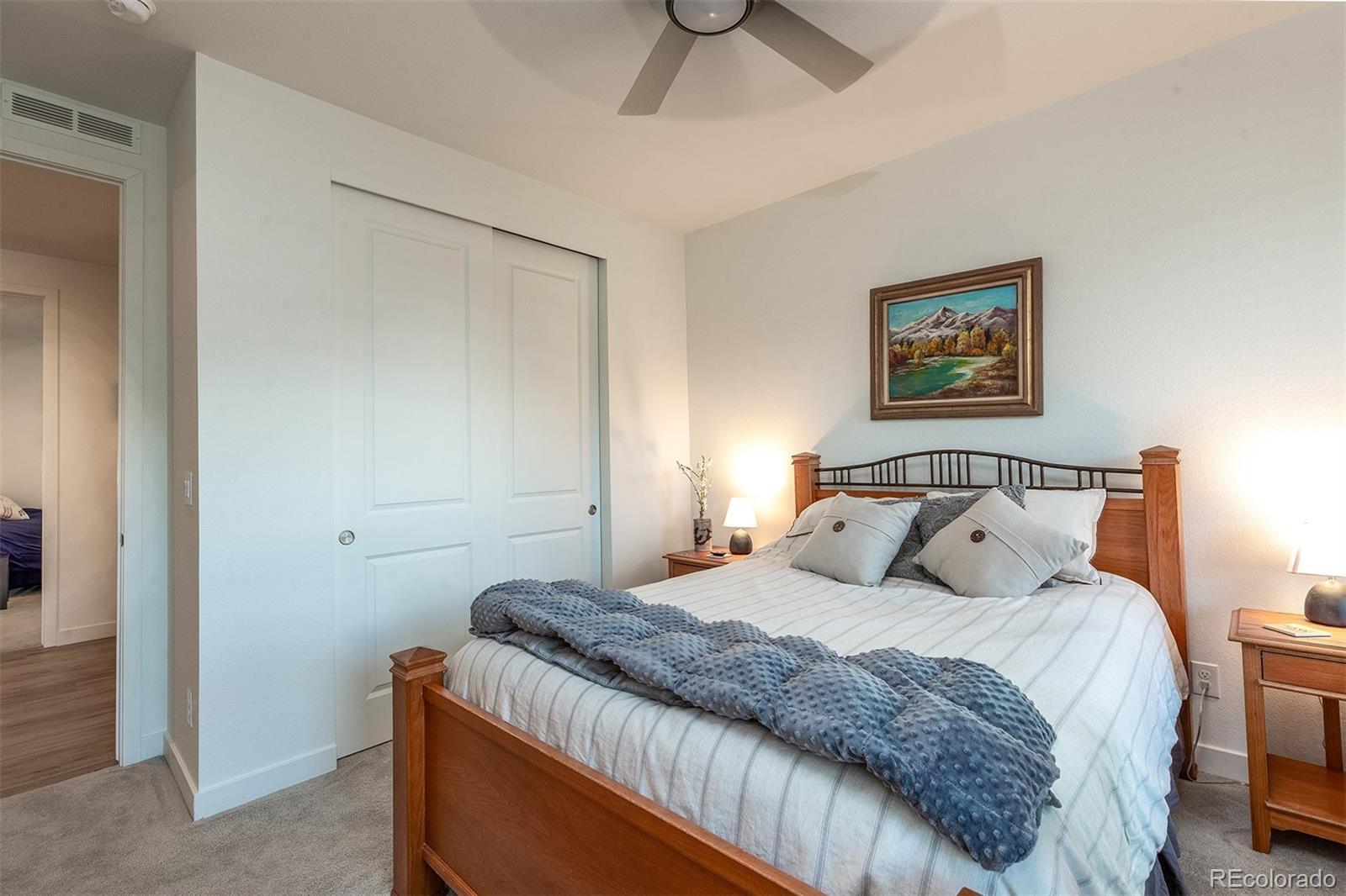 MLS Image #6 for 13470  gandy dancer way,parker, Colorado