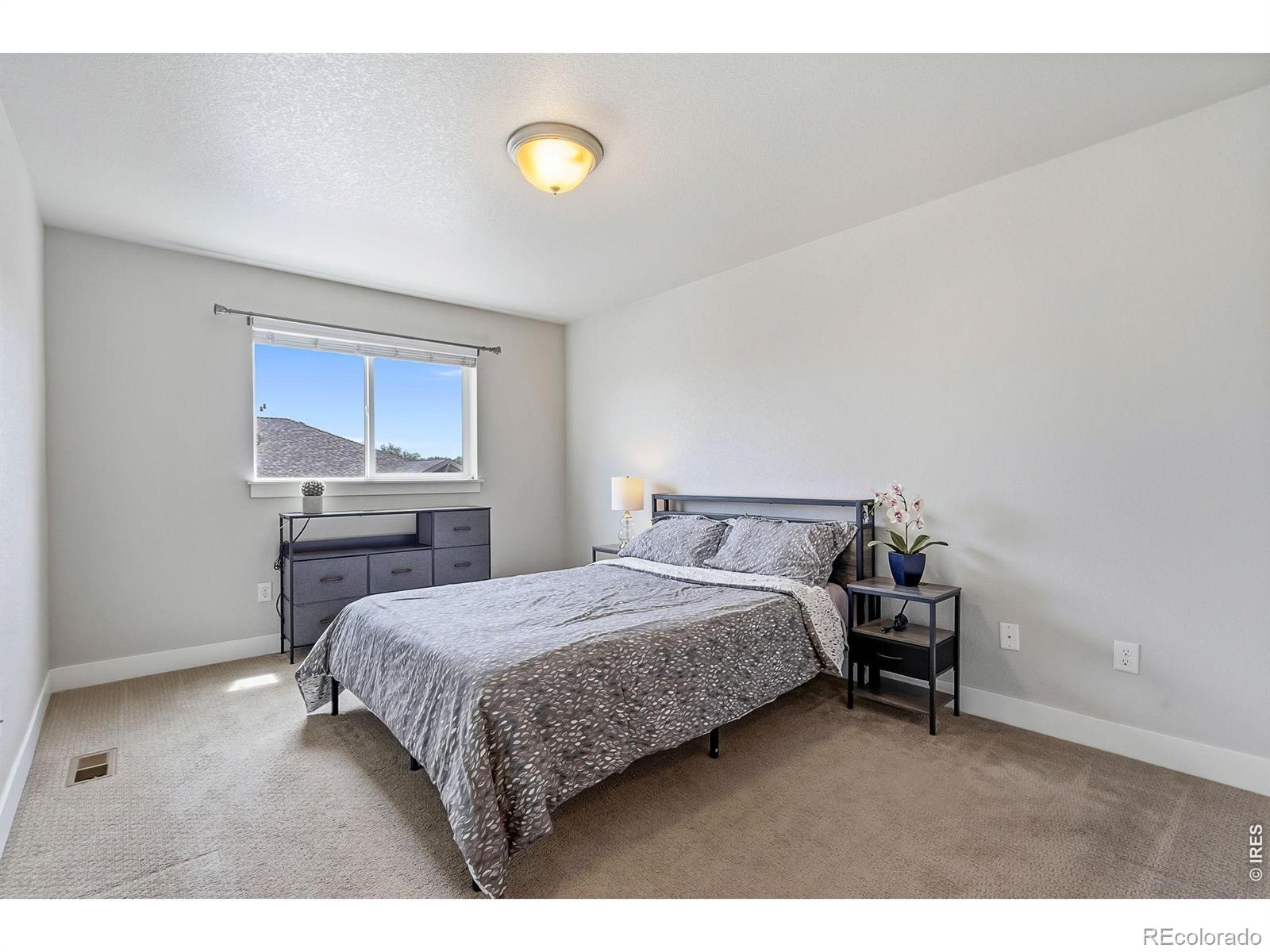 MLS Image #11 for 2608  kansas drive,fort collins, Colorado