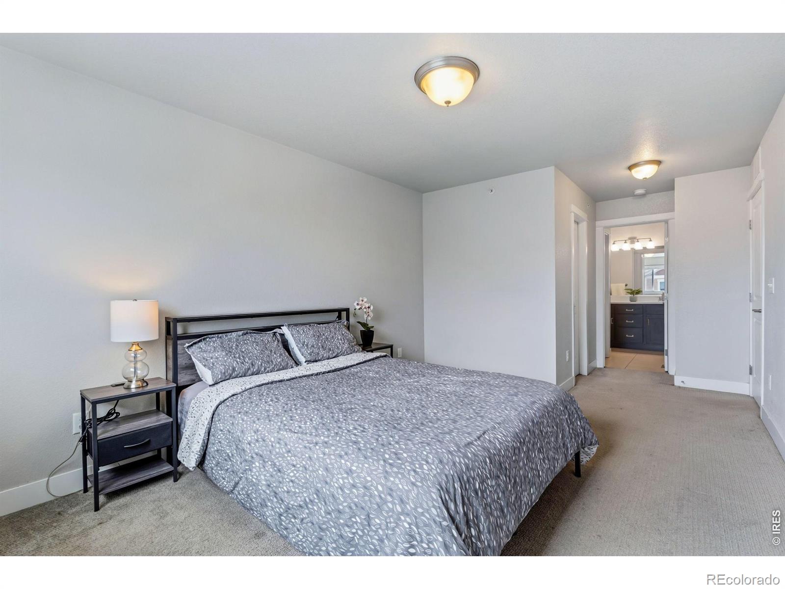 MLS Image #12 for 2608  kansas drive,fort collins, Colorado