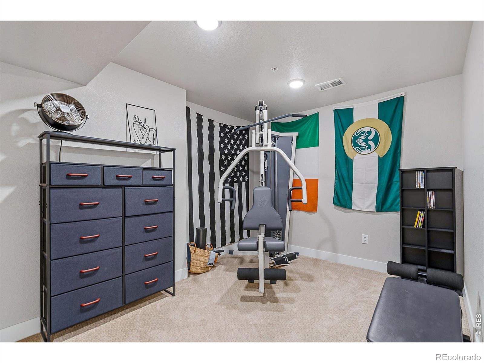 MLS Image #19 for 2608  kansas drive,fort collins, Colorado