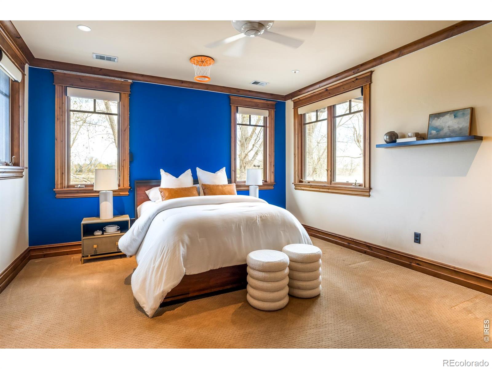 MLS Image #25 for 11229 n 75th street,longmont, Colorado