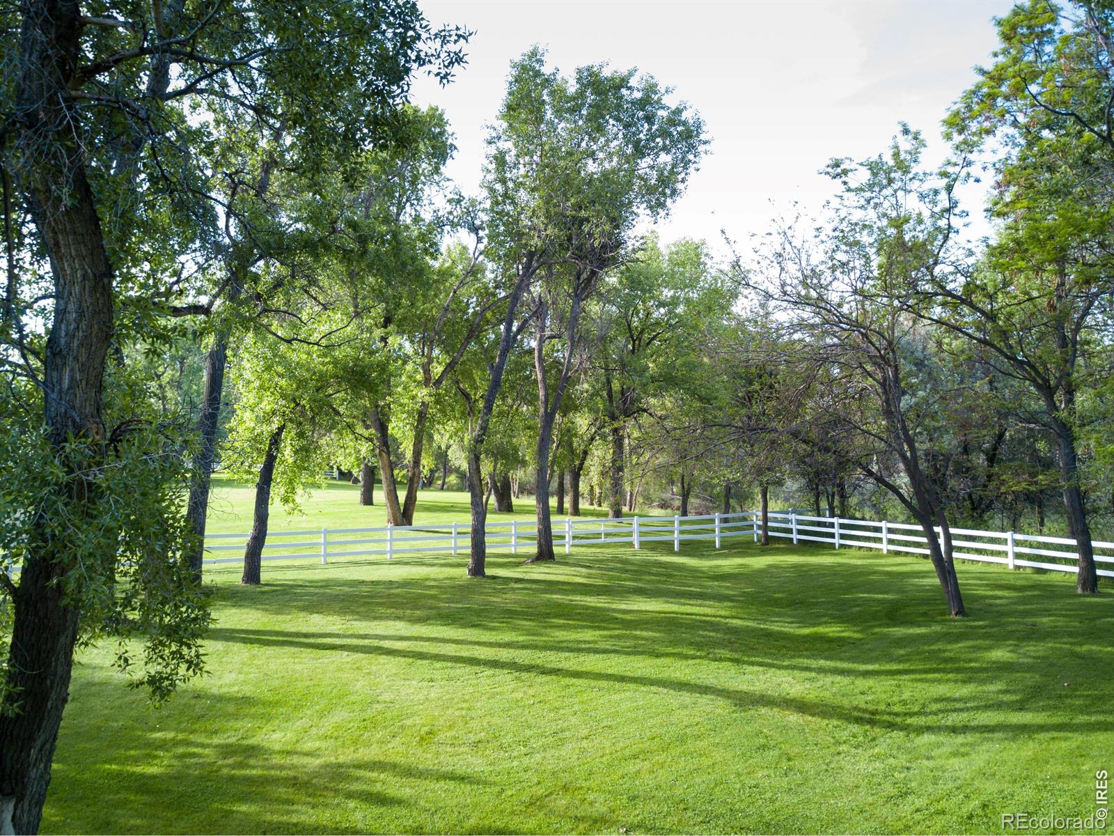 MLS Image #48 for 11229 n 75th street,longmont, Colorado