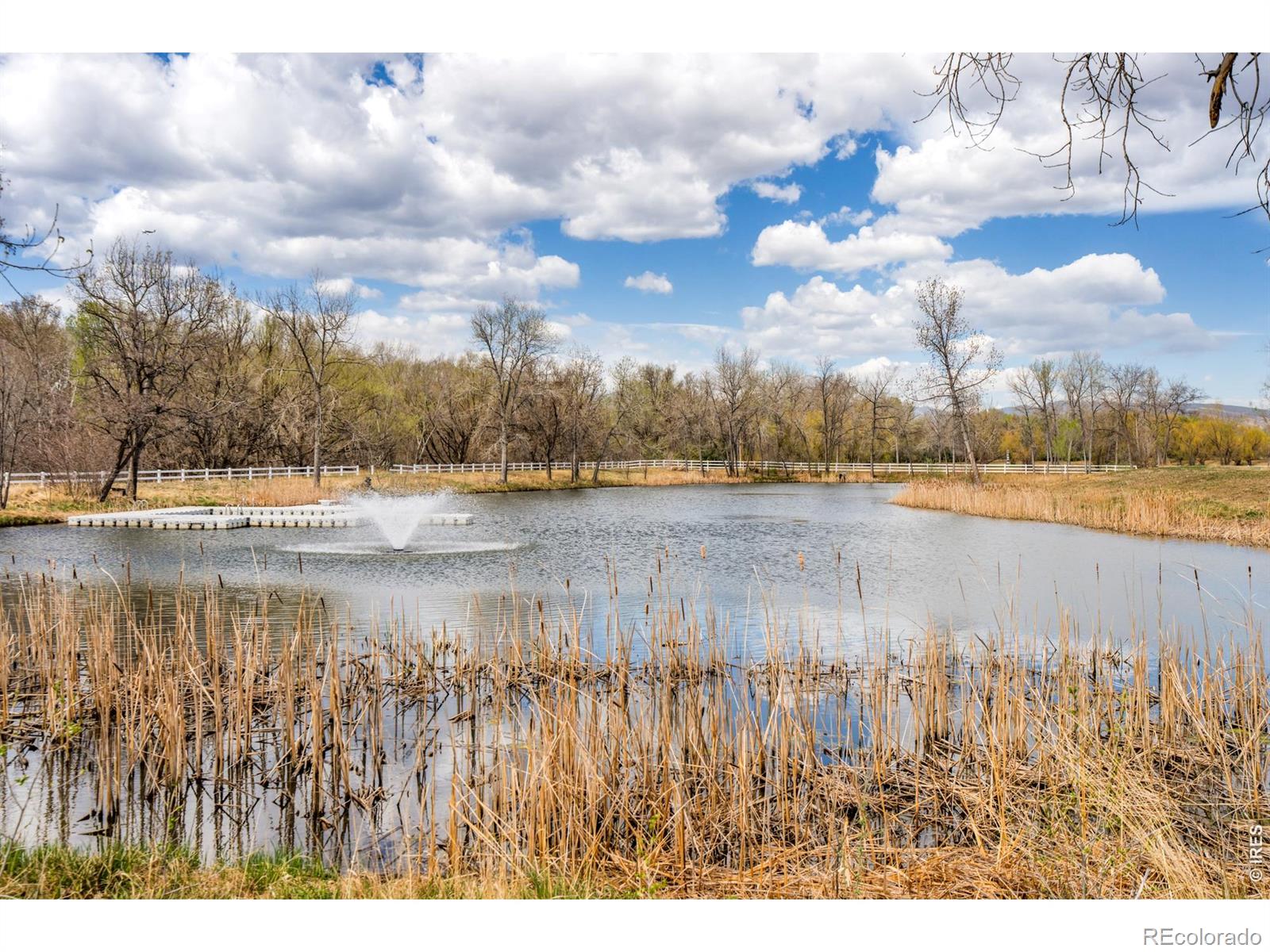 MLS Image #49 for 11229 n 75th street,longmont, Colorado