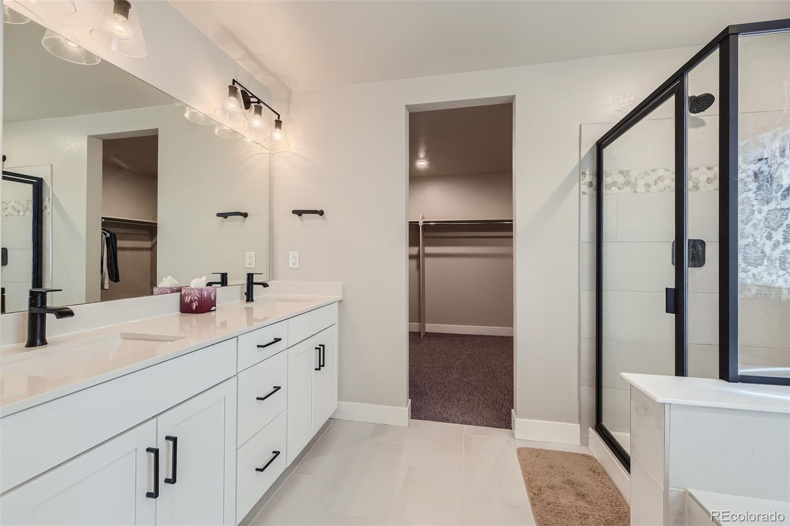 MLS Image #15 for 13466  broad wing avenue,parker, Colorado