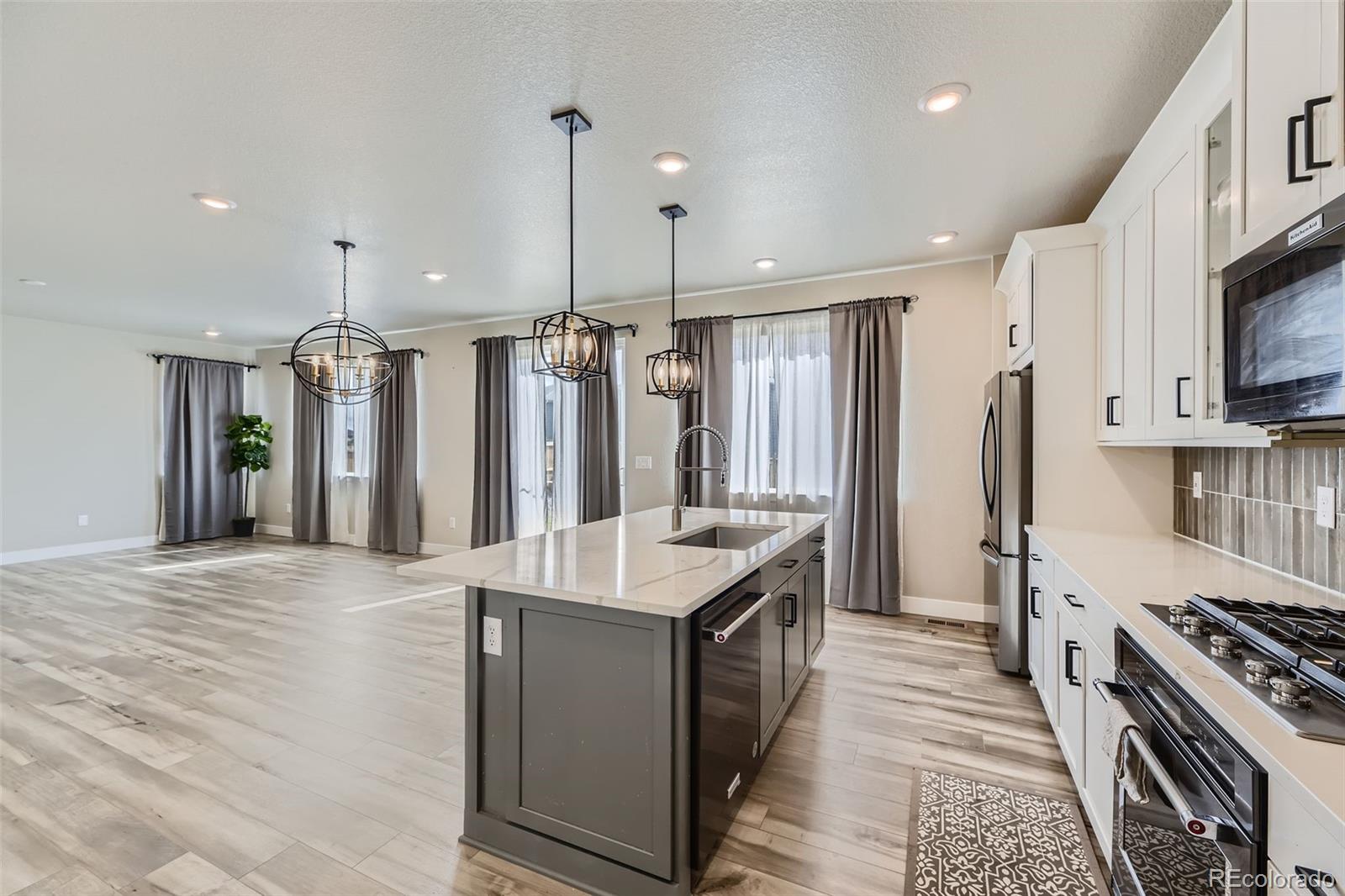 MLS Image #8 for 13466  broad wing avenue,parker, Colorado