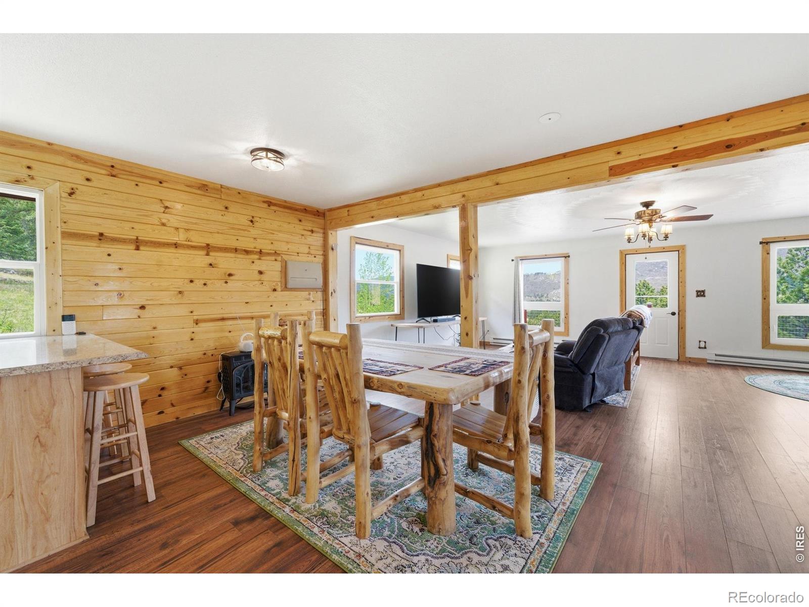 MLS Image #10 for 246  picacho place,drake, Colorado