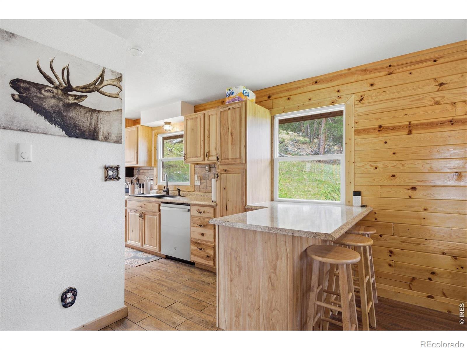 MLS Image #13 for 246  picacho place,drake, Colorado