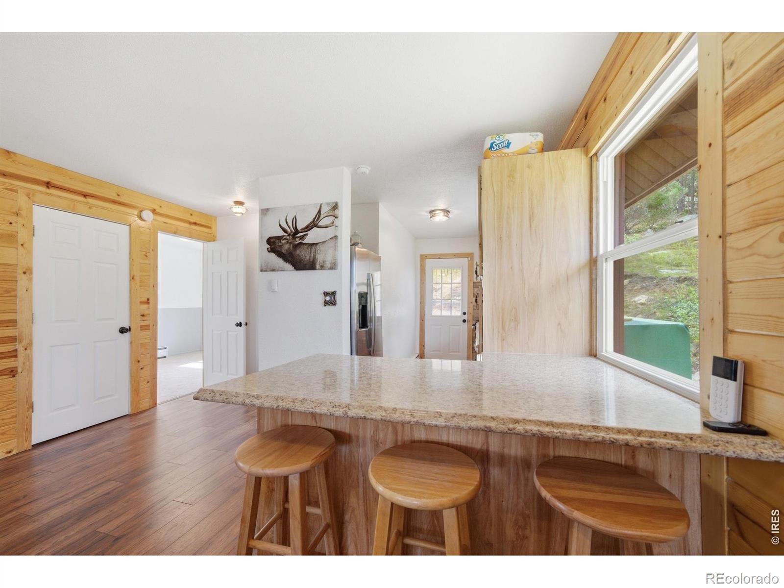 MLS Image #15 for 246  picacho place,drake, Colorado