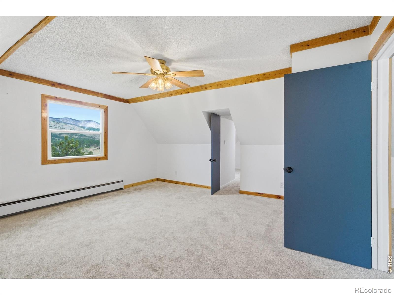 MLS Image #24 for 246  picacho place,drake, Colorado