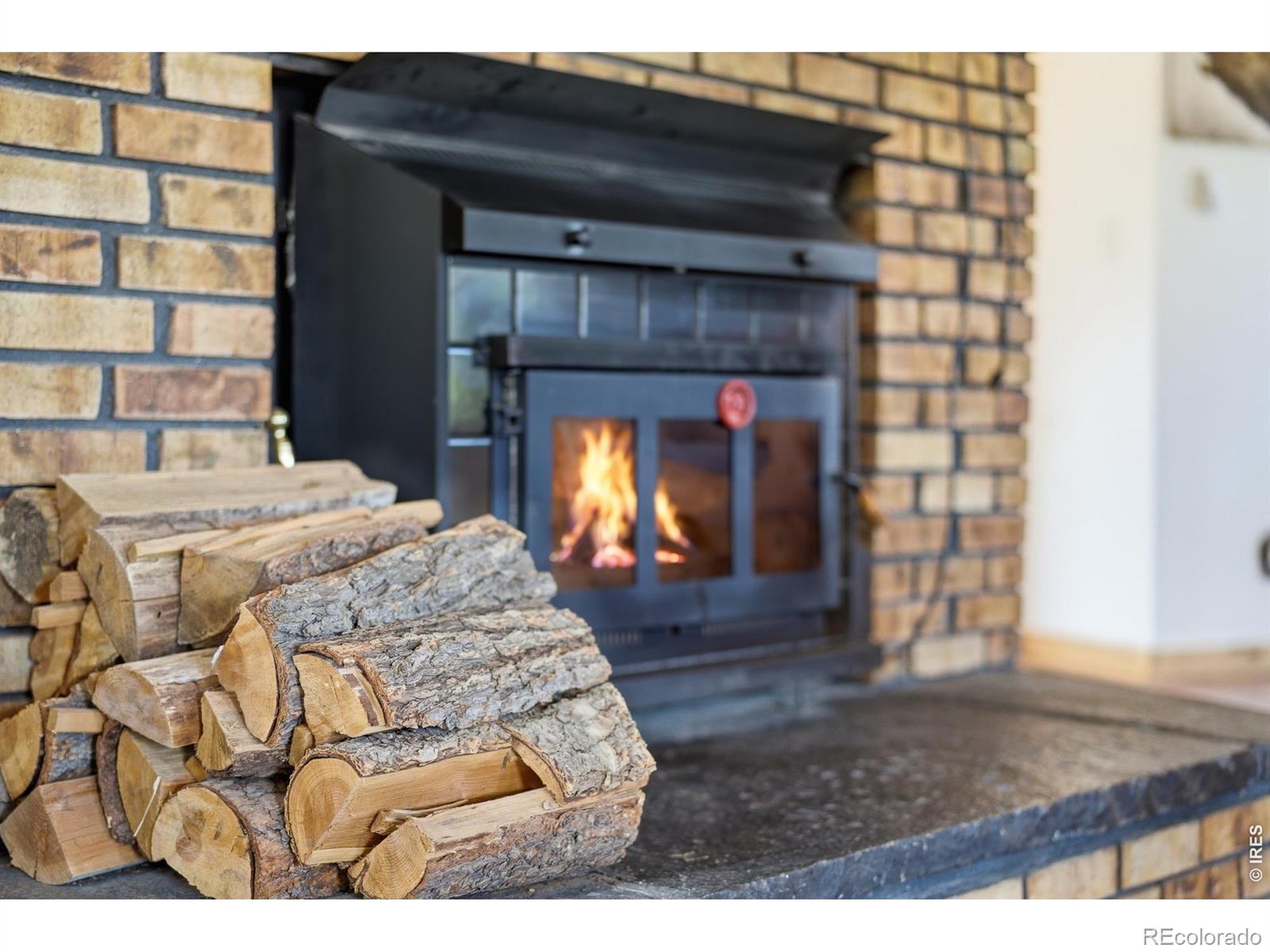 MLS Image #6 for 246  picacho place,drake, Colorado