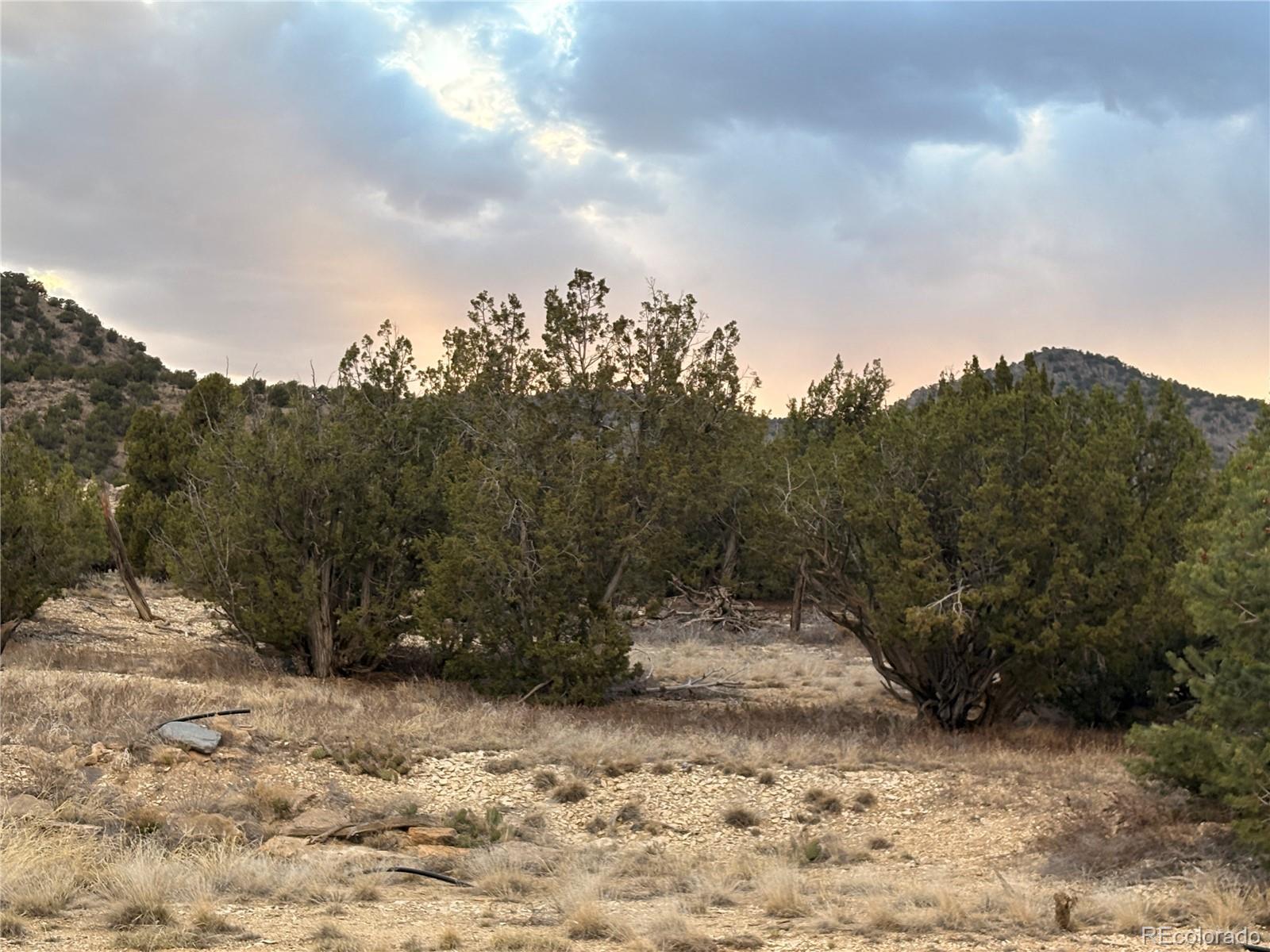 MLS Image #5 for 282  meadowdale lane,canon city, Colorado