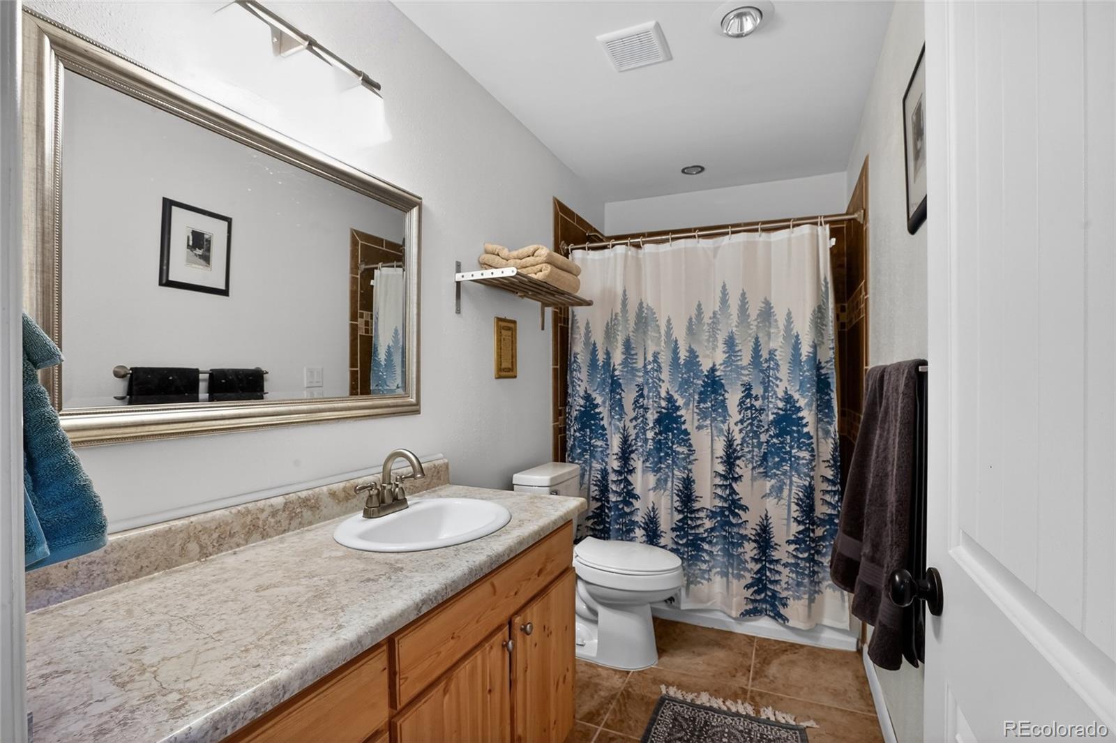 MLS Image #22 for 22690  highway 69 ,gardner, Colorado