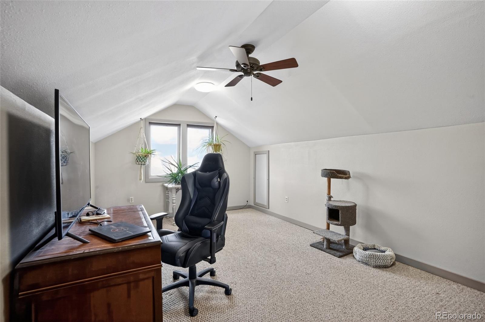 MLS Image #28 for 22690  highway 69 ,gardner, Colorado