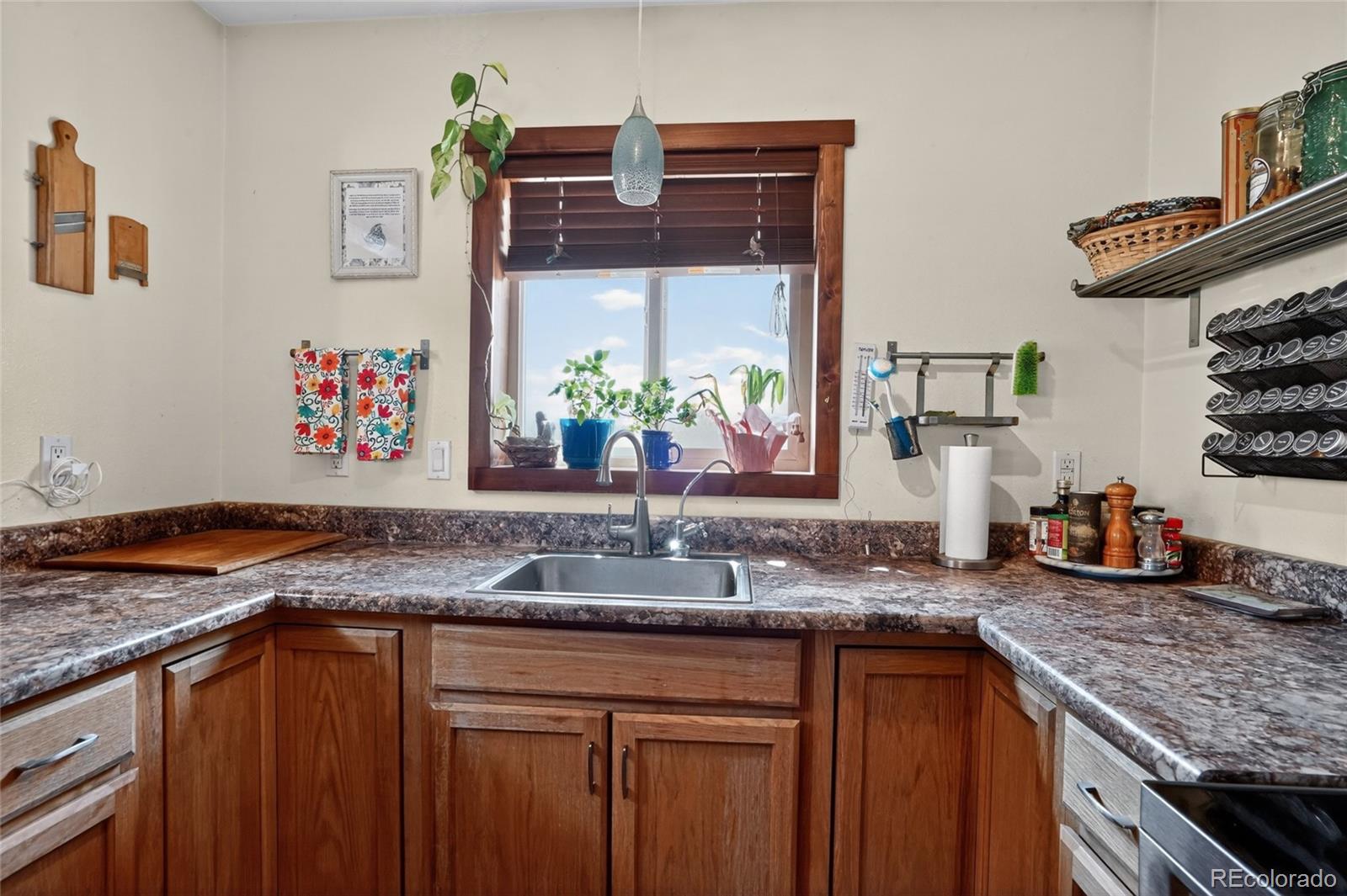MLS Image #9 for 22690  highway 69 ,gardner, Colorado