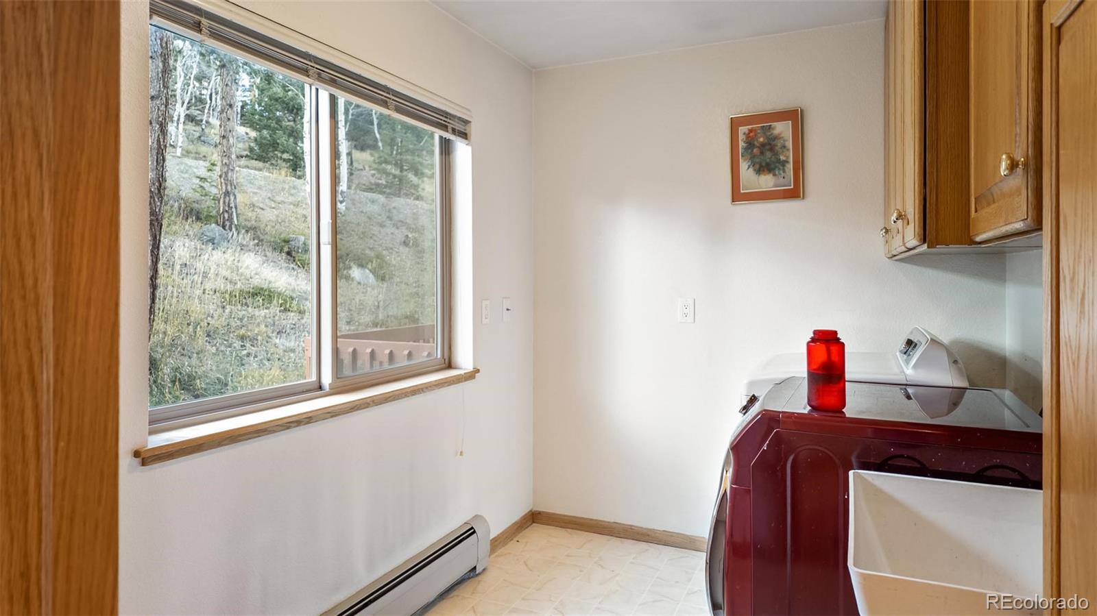 MLS Image #25 for 1096  aspen drive,evergreen, Colorado
