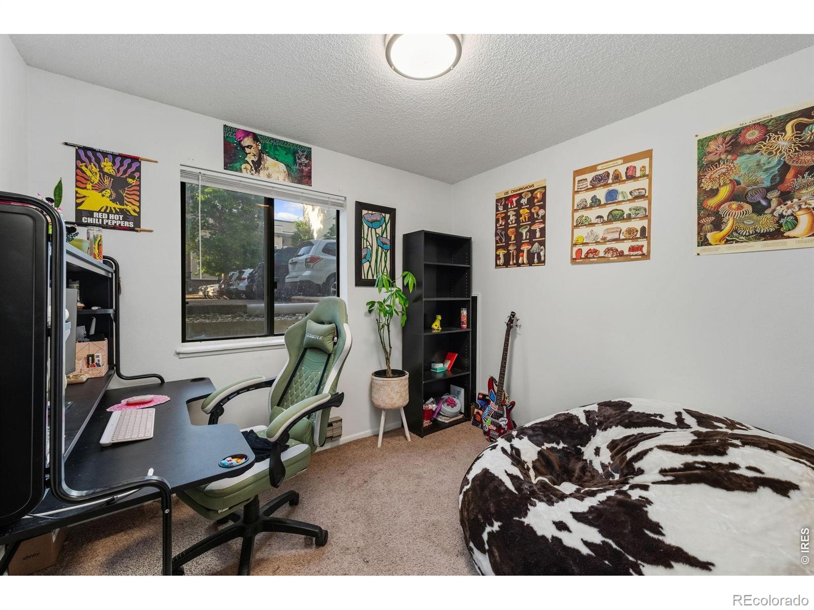 MLS Image #10 for 1209 w plum street,fort collins, Colorado