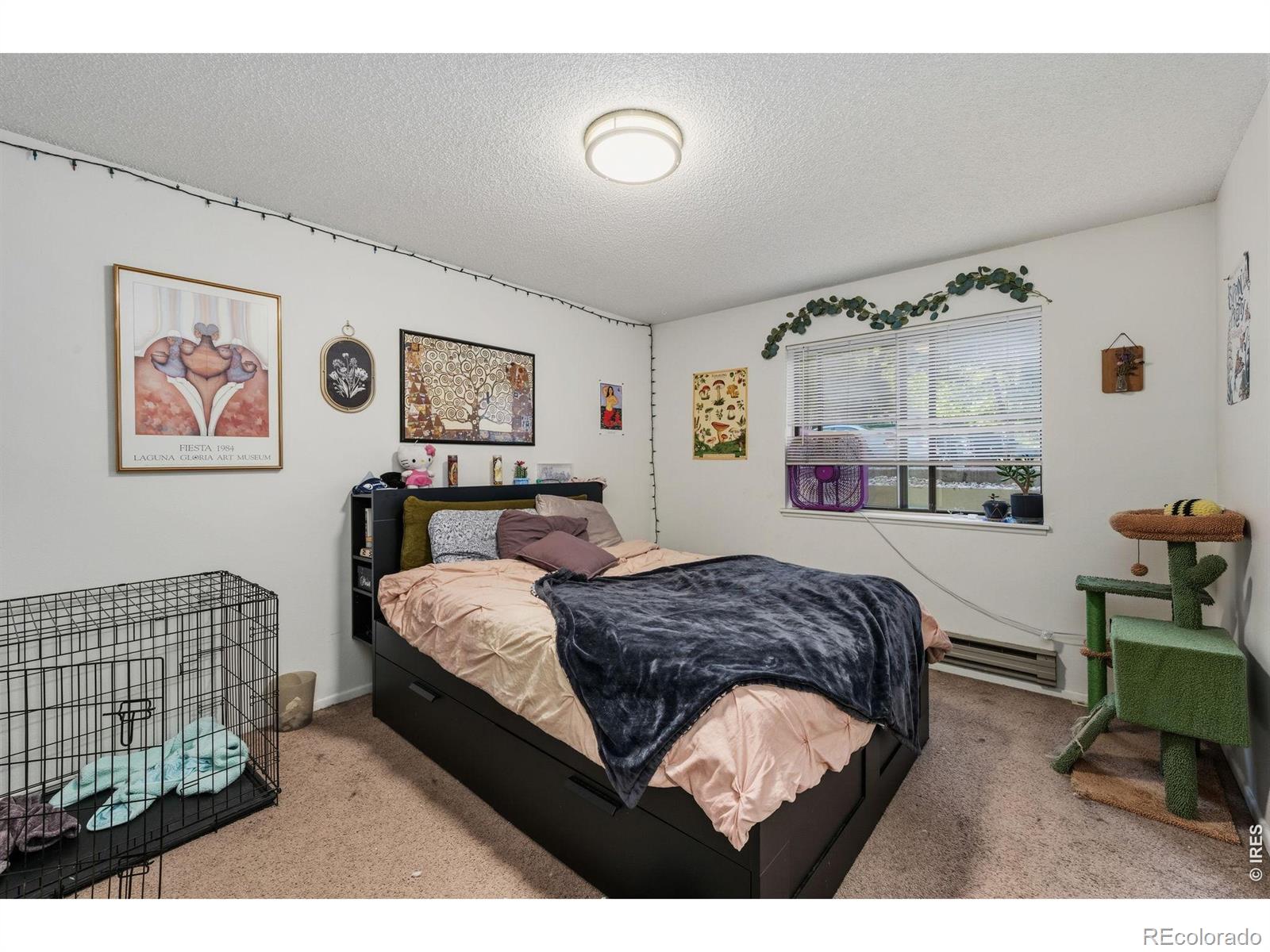 MLS Image #11 for 1209 w plum street,fort collins, Colorado
