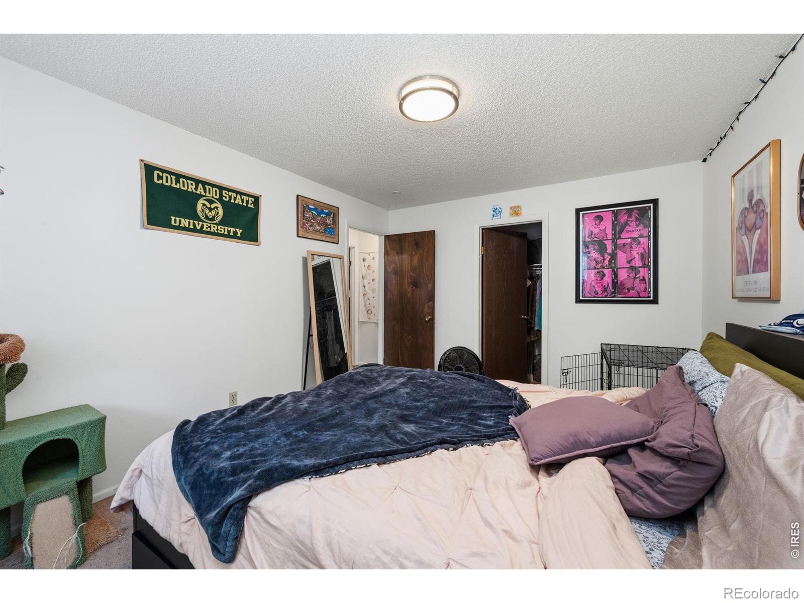 MLS Image #12 for 1209 w plum street,fort collins, Colorado