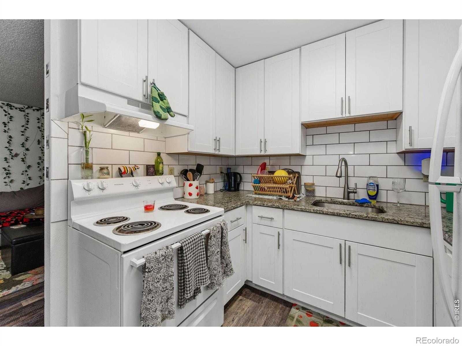 MLS Image #6 for 1209 w plum street,fort collins, Colorado