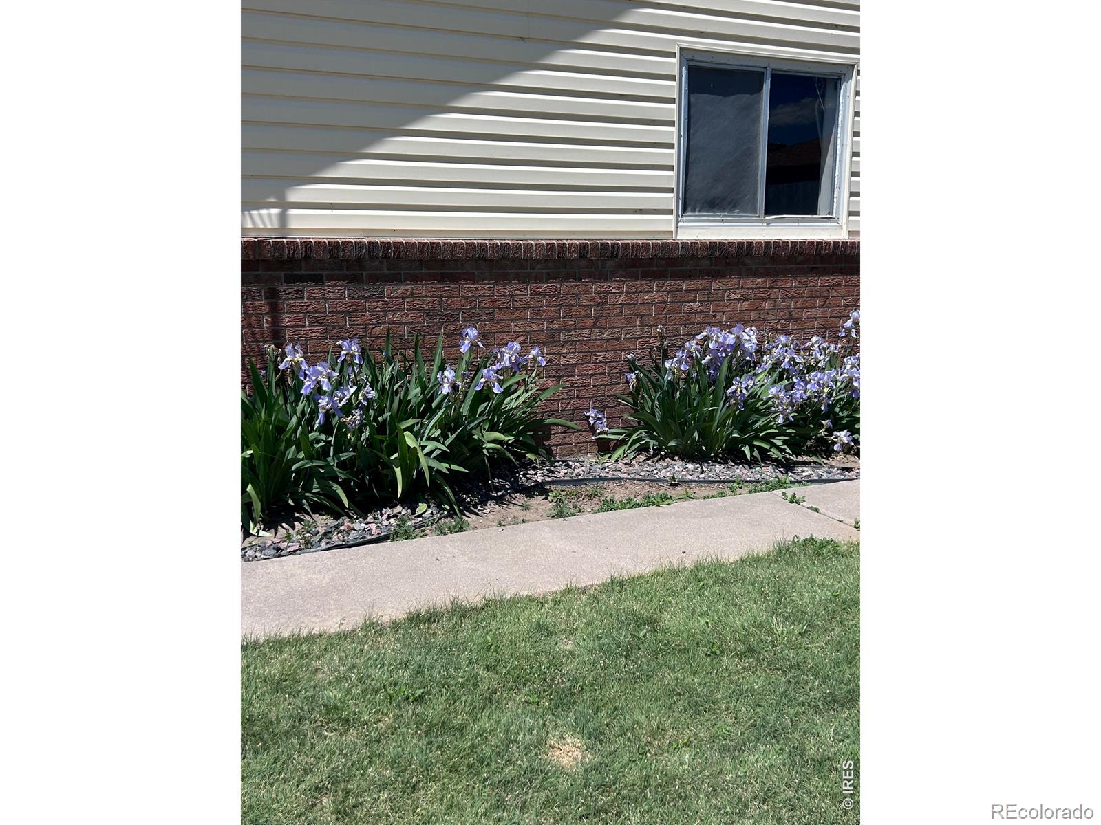 MLS Image #40 for 9718  county road 3 ,wiggins, Colorado