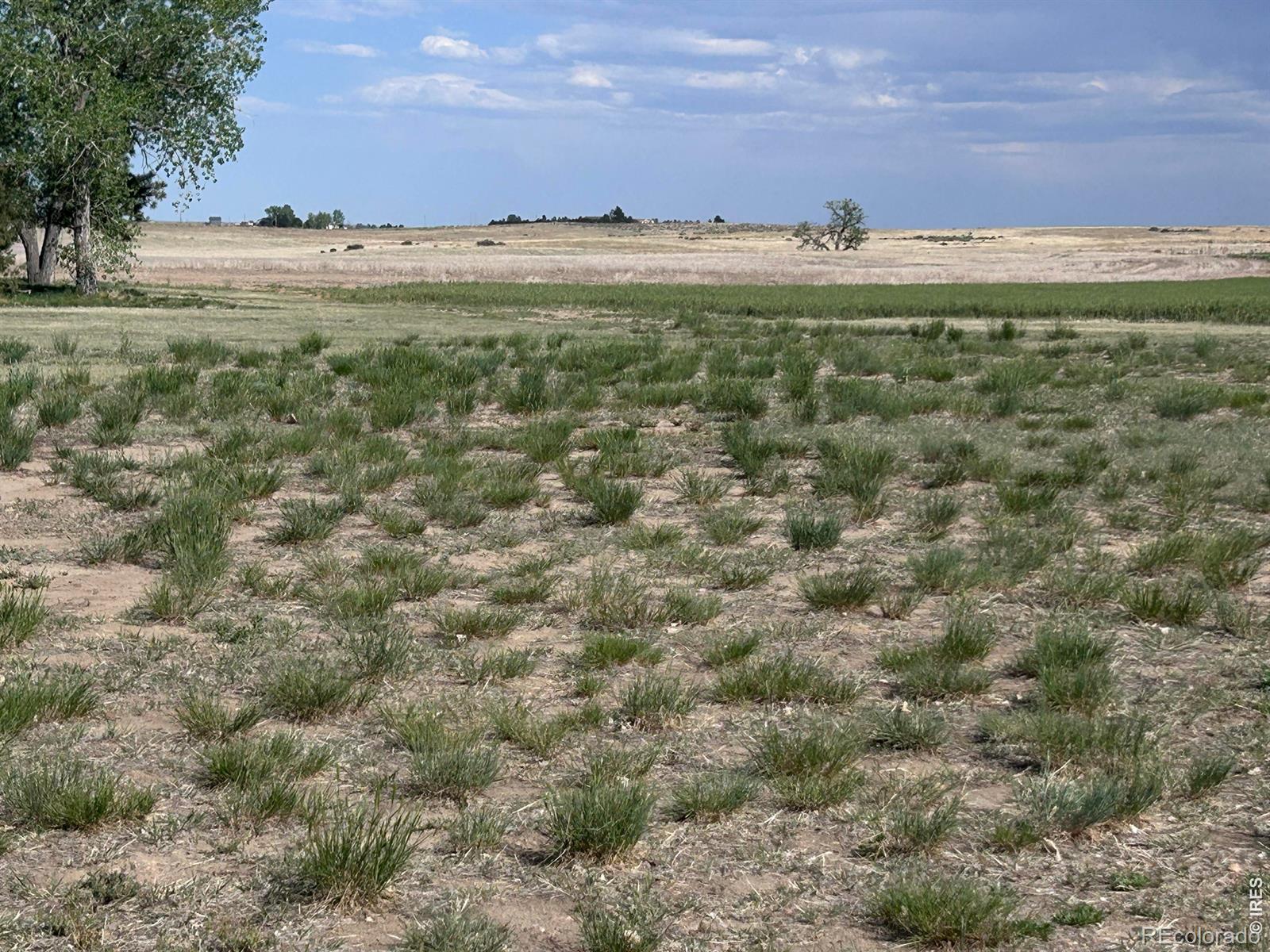 MLS Image #49 for 9718  county road 3 ,wiggins, Colorado