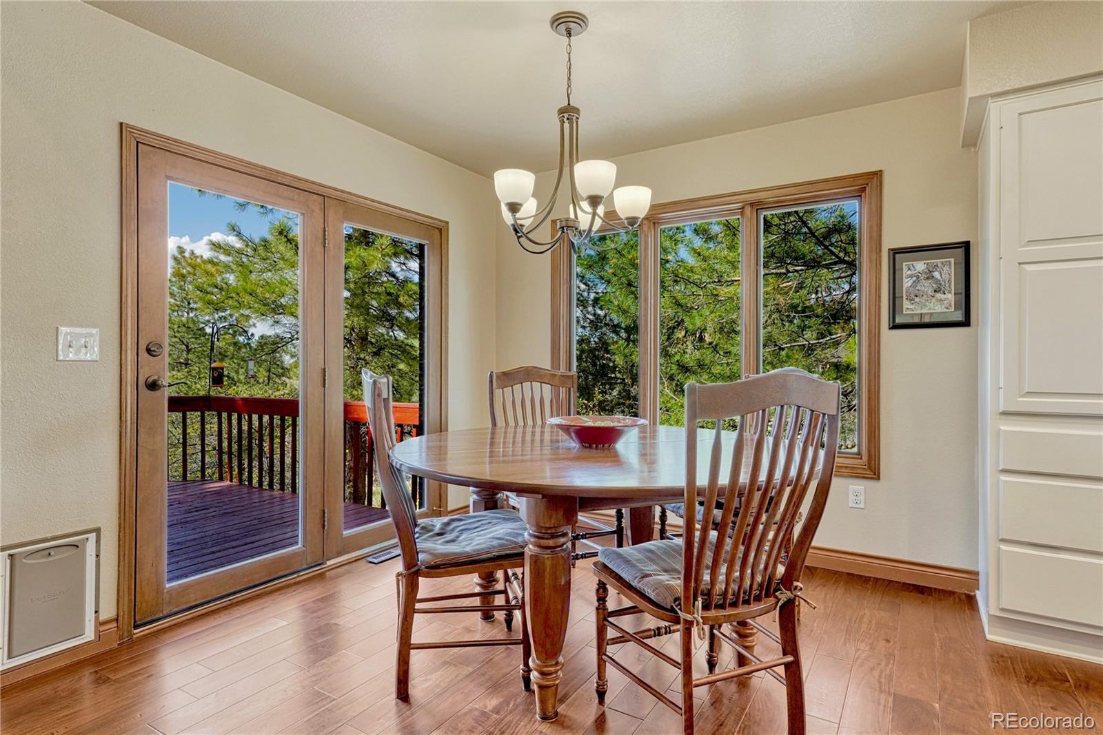 MLS Image #14 for 5988  angie court,parker, Colorado