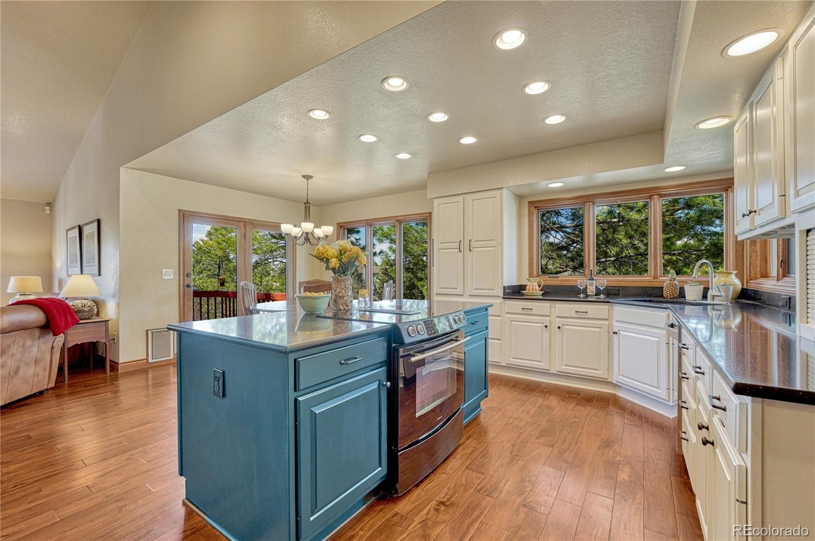 MLS Image #16 for 5988  angie court,parker, Colorado