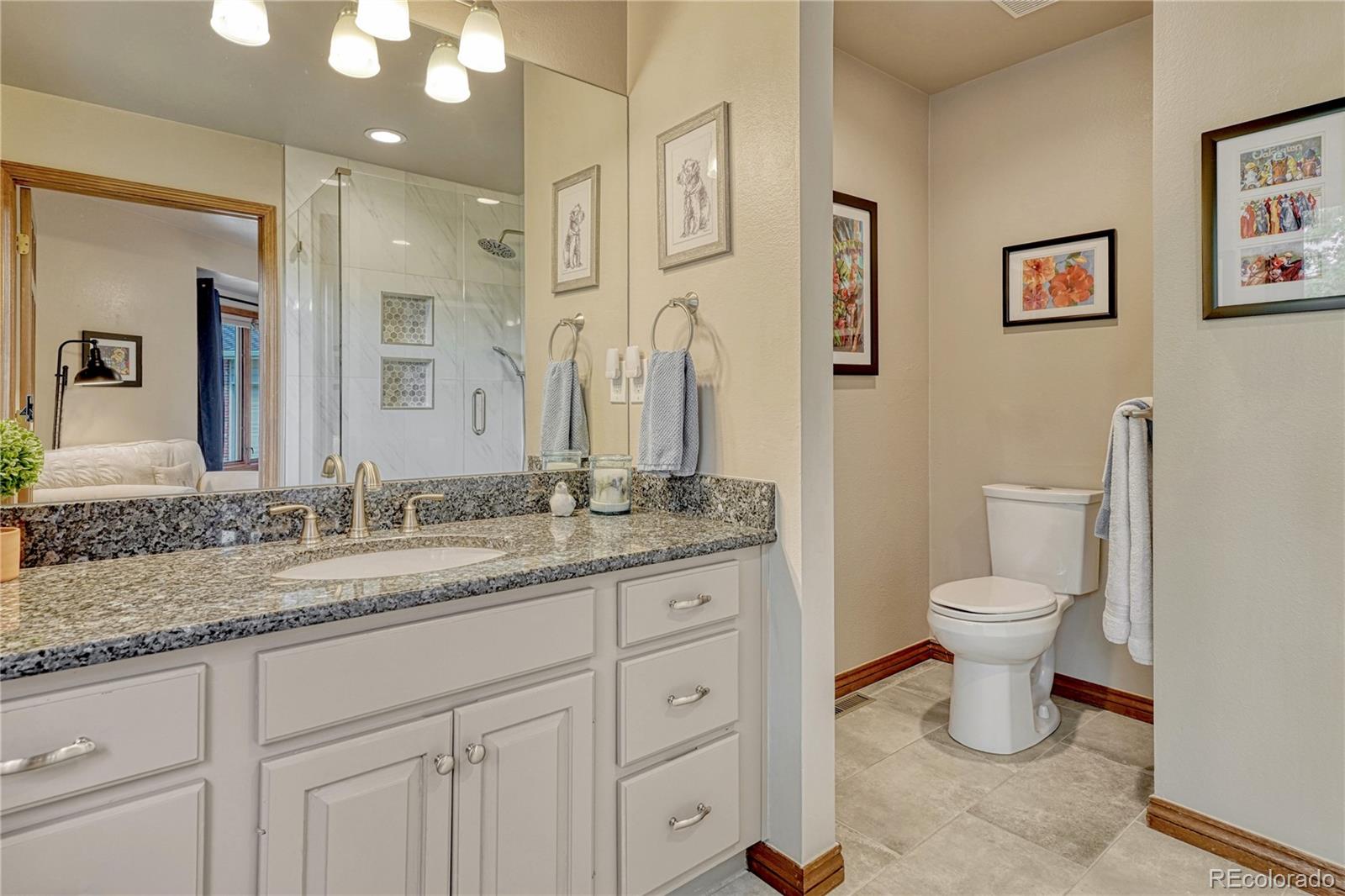 MLS Image #23 for 5988  angie court,parker, Colorado