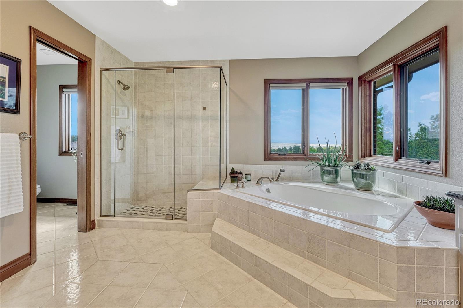 MLS Image #29 for 5988  angie court,parker, Colorado