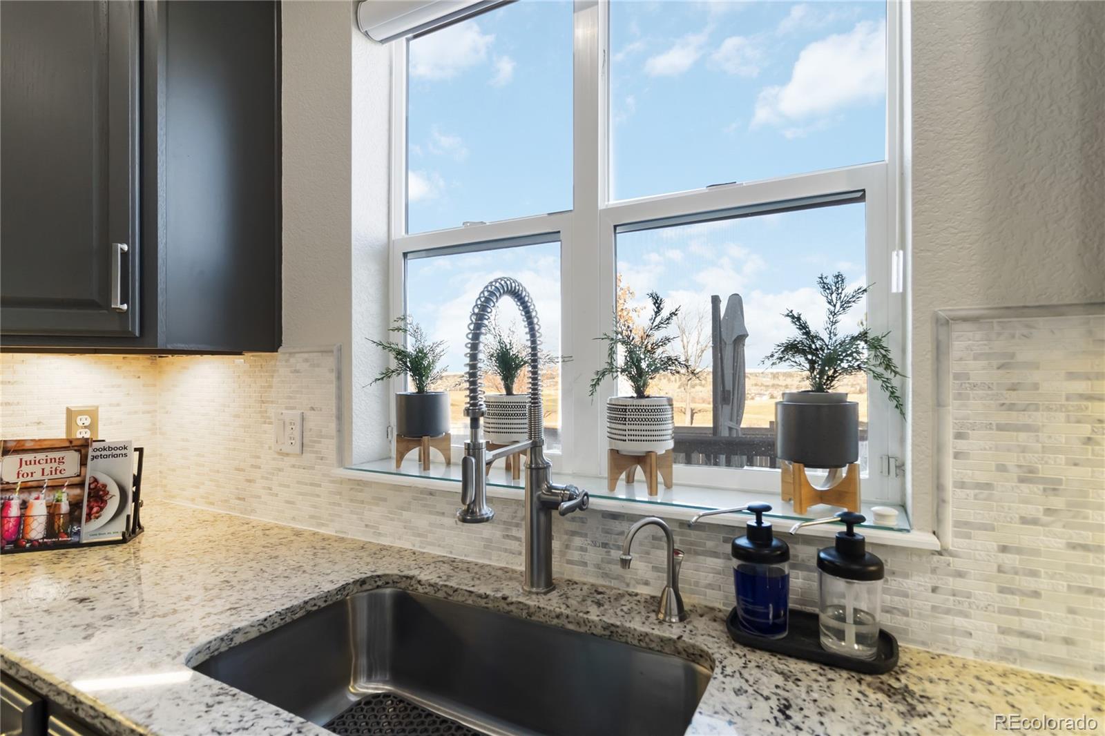MLS Image #16 for 22823  hope dale avenue,parker, Colorado