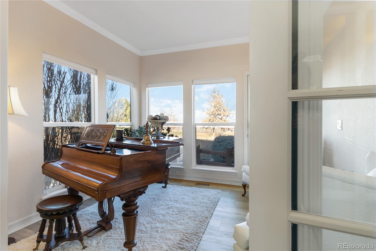 MLS Image #7 for 22823  hope dale avenue,parker, Colorado