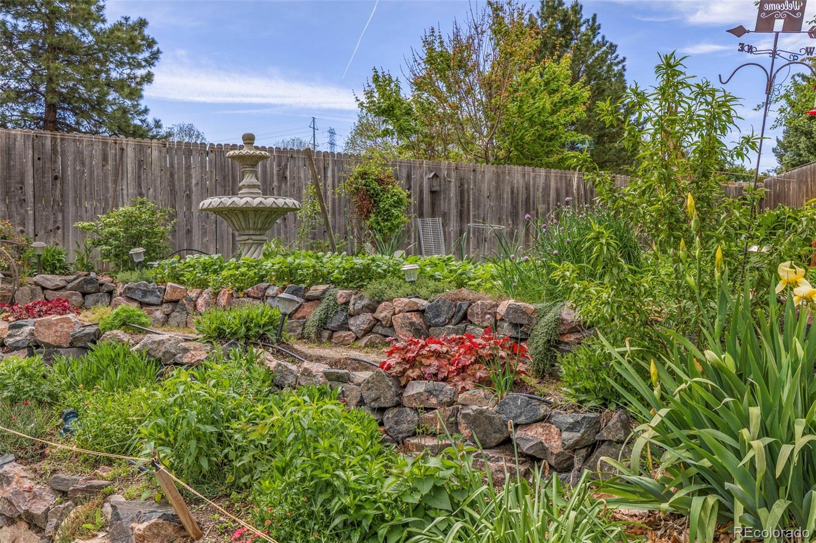 MLS Image #13 for 21504  omaha avenue,parker, Colorado