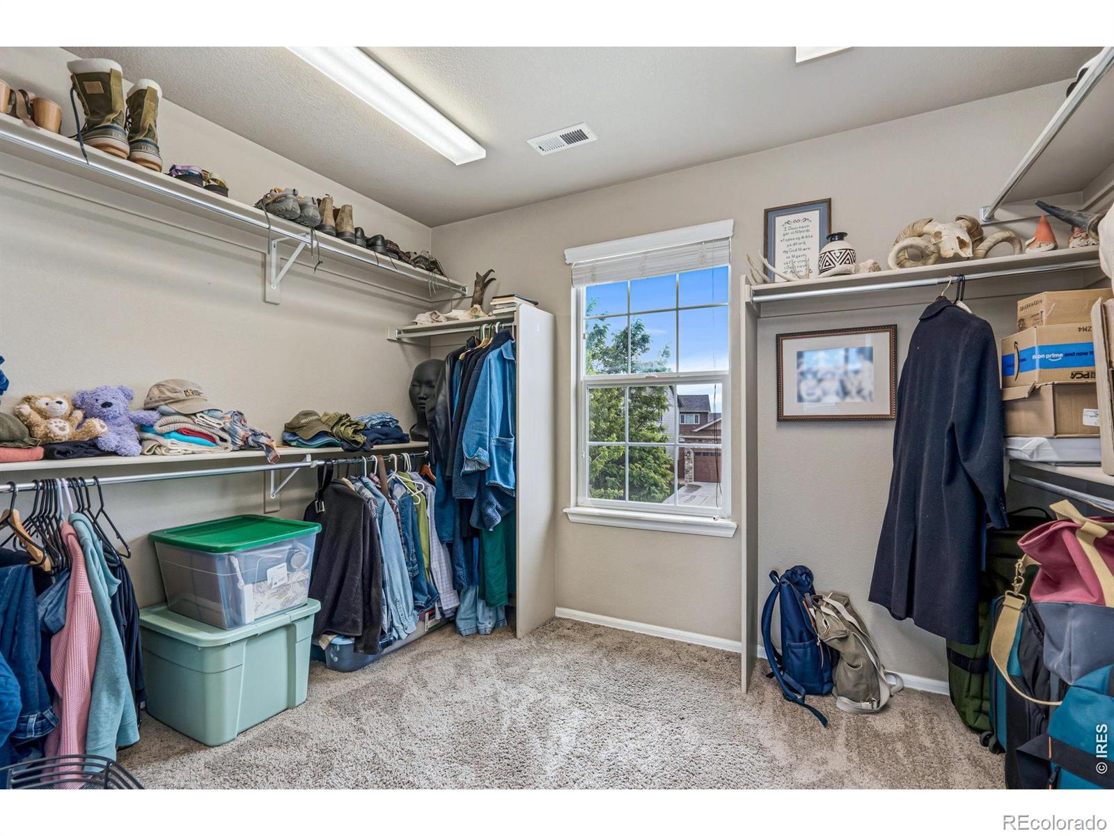 MLS Image #12 for 927  ridge runner drive,fort collins, Colorado