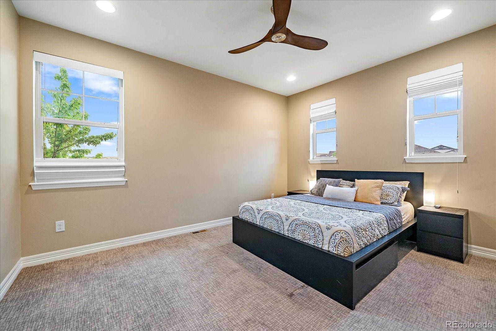 MLS Image #22 for 11724  spotted street,parker, Colorado