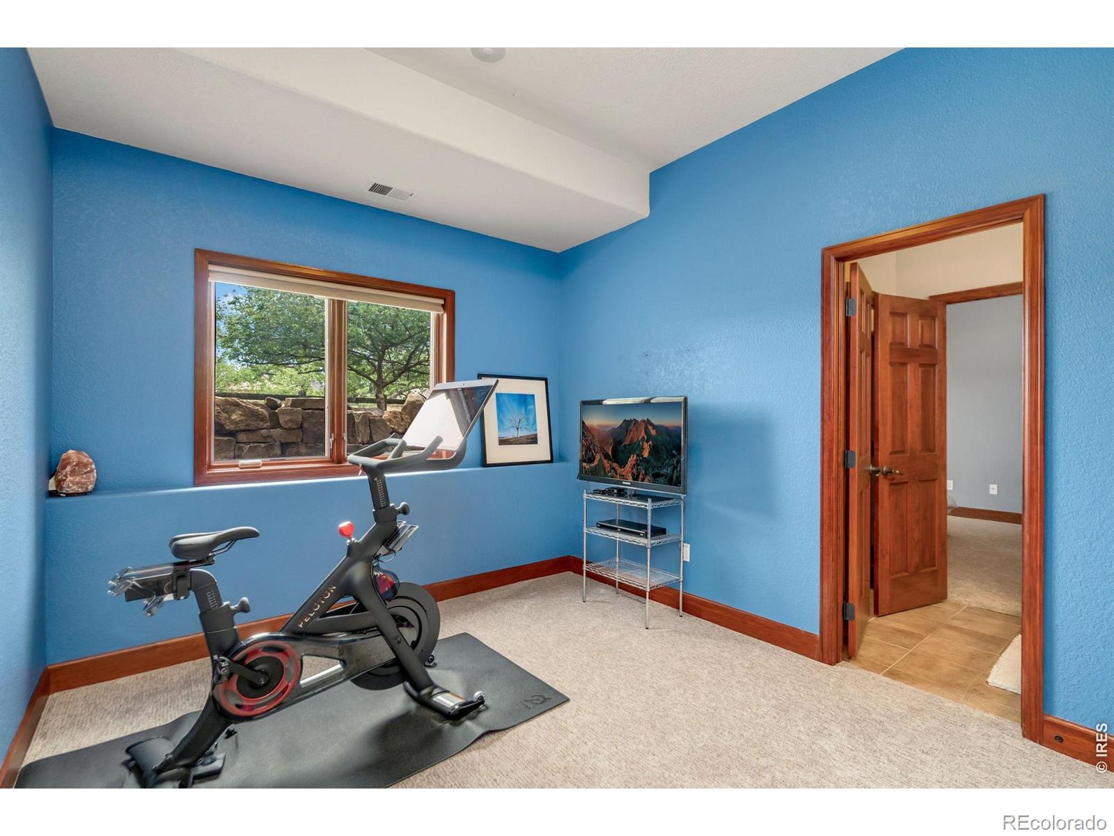 MLS Image #36 for 339  meadowsweet circle,loveland, Colorado