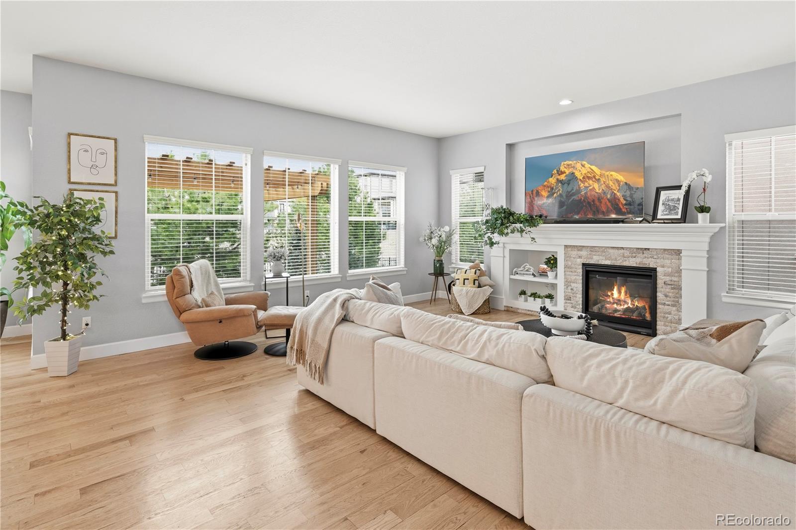 MLS Image #6 for 10629  ladera point,lone tree, Colorado