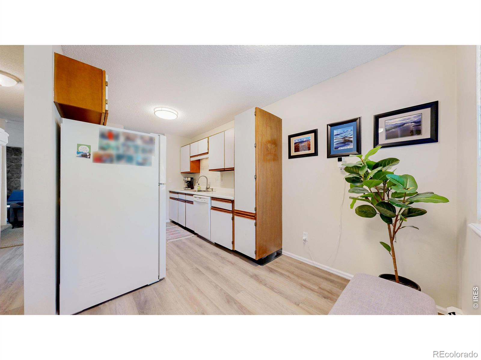 MLS Image #13 for 1404  adriel drive,fort collins, Colorado