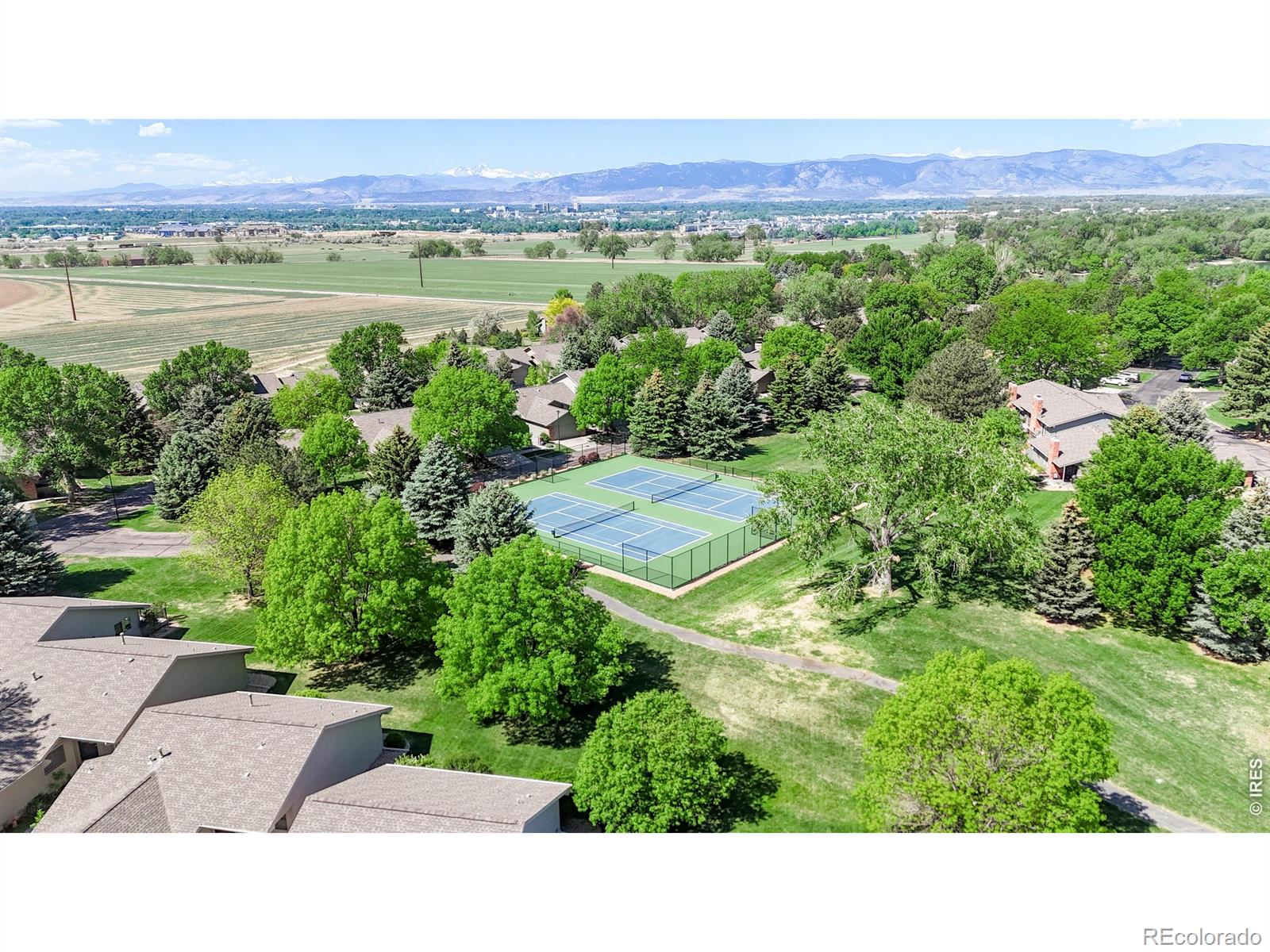 MLS Image #37 for 1404  adriel drive,fort collins, Colorado