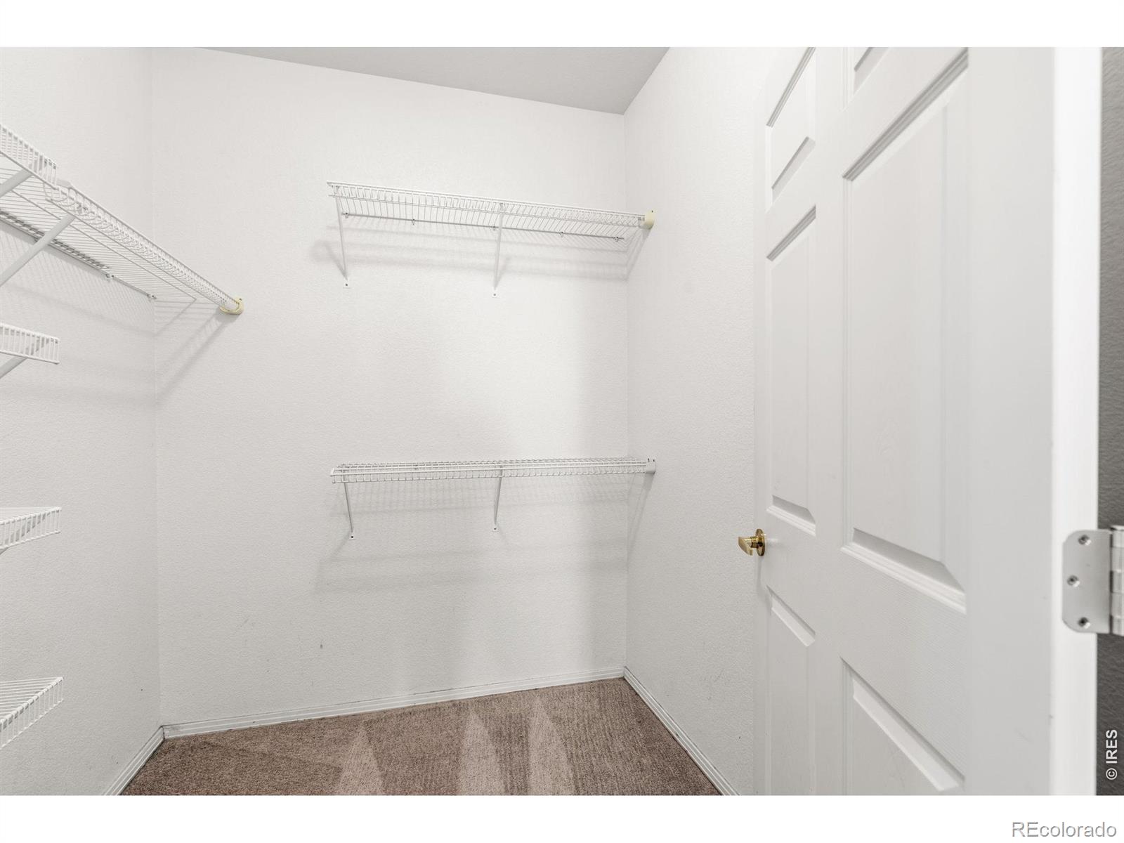 MLS Image #20 for 3002 w elizabeth street,fort collins, Colorado