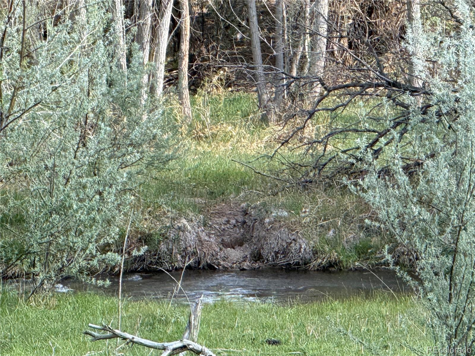 MLS Image #34 for 120  county road 544 ,gardner, Colorado