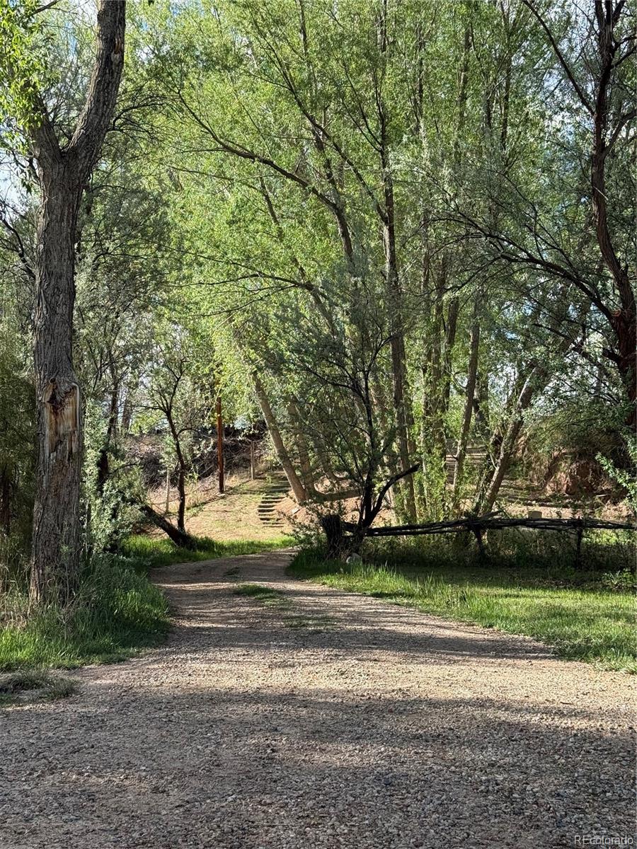 MLS Image #6 for 120  county road 544 ,gardner, Colorado