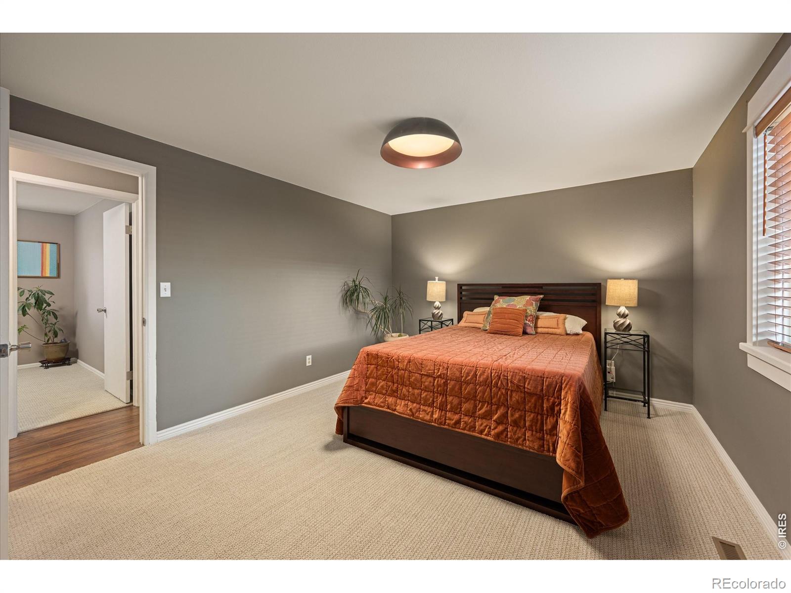 MLS Image #10 for 3732  mead street,fort collins, Colorado