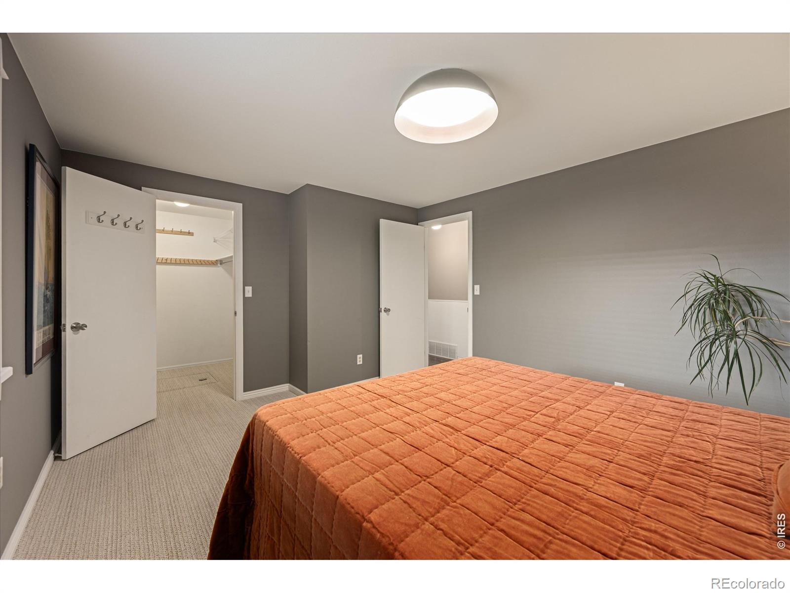 MLS Image #11 for 3732  mead street,fort collins, Colorado