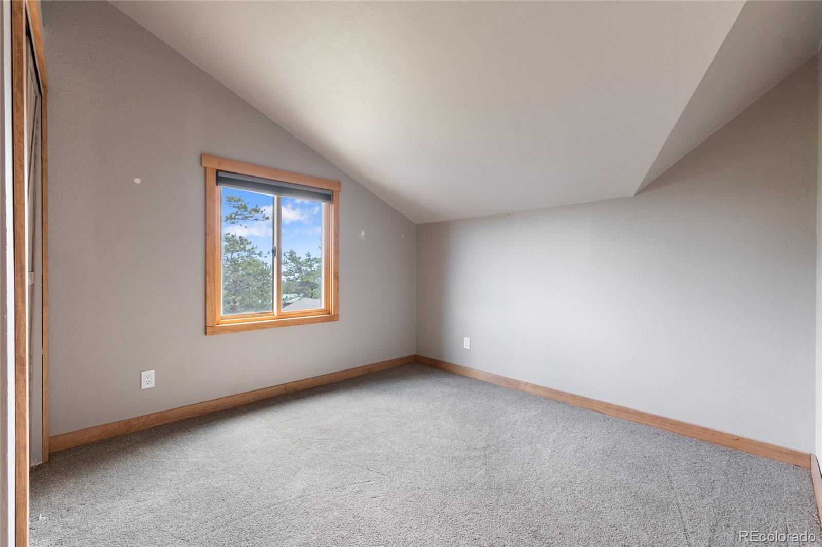 MLS Image #27 for 14534 s wandcrest drive,pine, Colorado