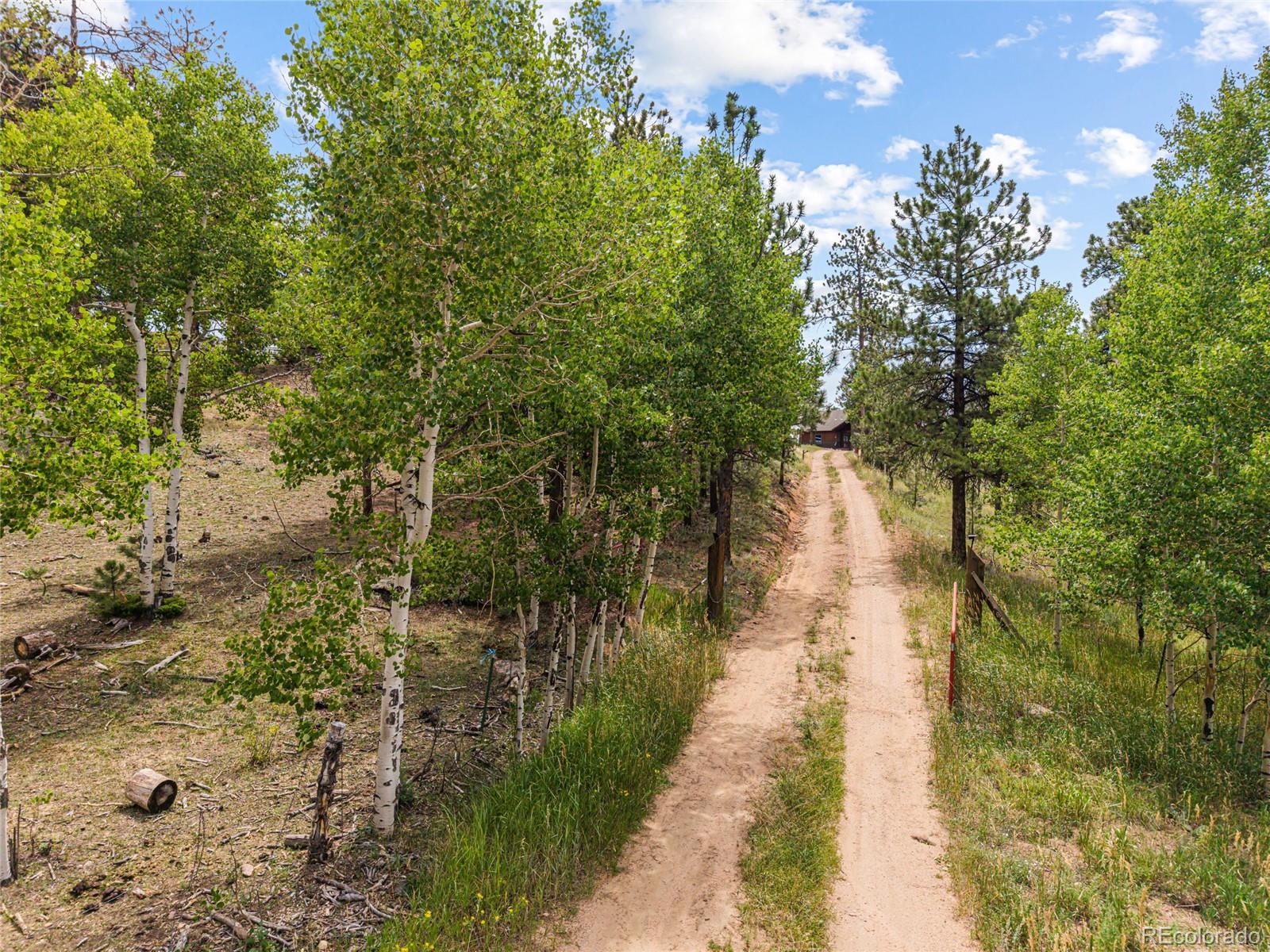 MLS Image #8 for 14534 s wandcrest drive,pine, Colorado