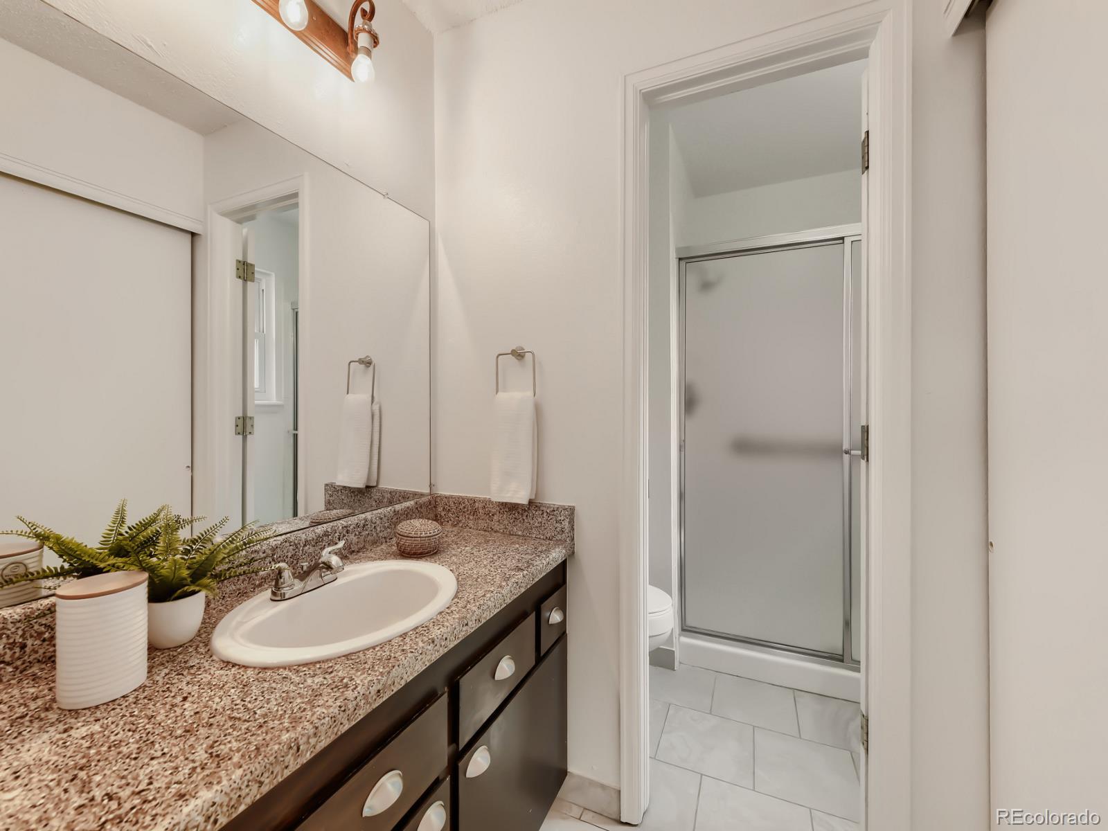 MLS Image #17 for 530  snowy owl place,highlands ranch, Colorado