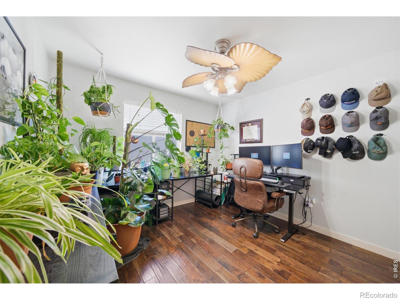 MLS Image #13 for 735  breccia avenue,loveland, Colorado