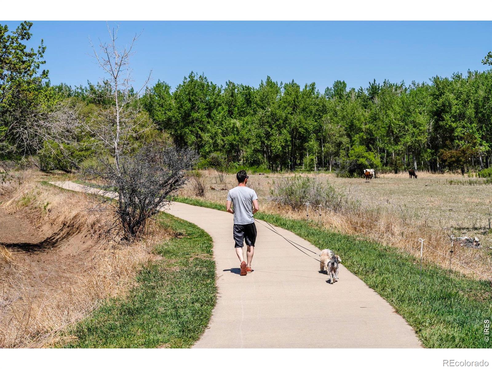 MLS Image #42 for 2124 w centennial drive,louisville, Colorado