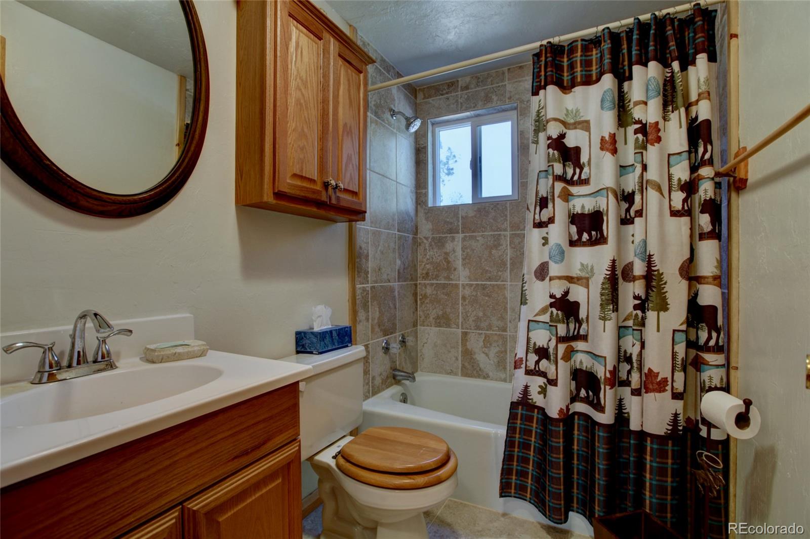 MLS Image #21 for 530  red feather road,cotopaxi, Colorado