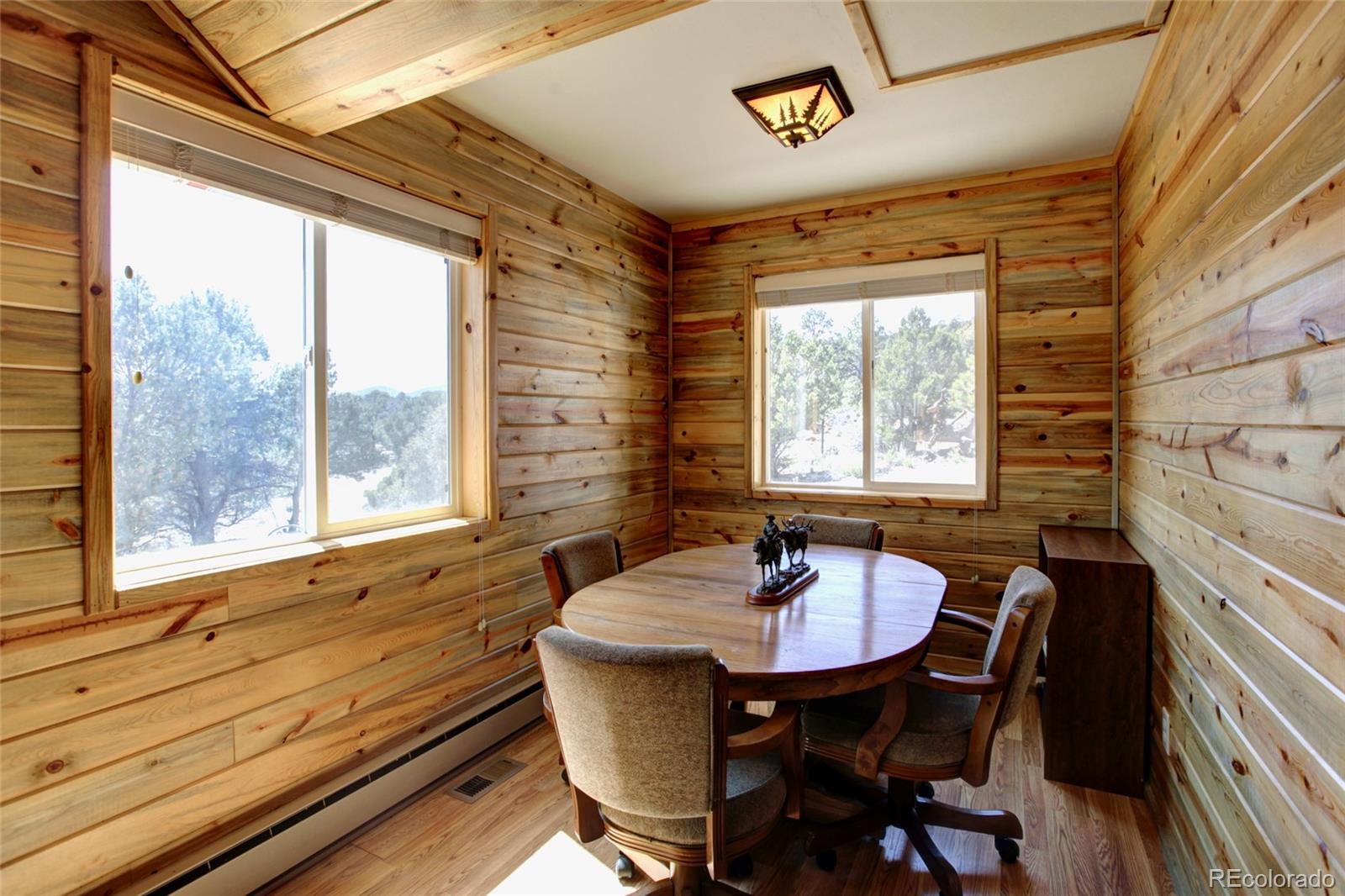 MLS Image #3 for 530  red feather road,cotopaxi, Colorado